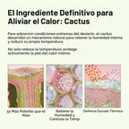 Dr. Melaxin Cactox Pore Relief Multi Balm