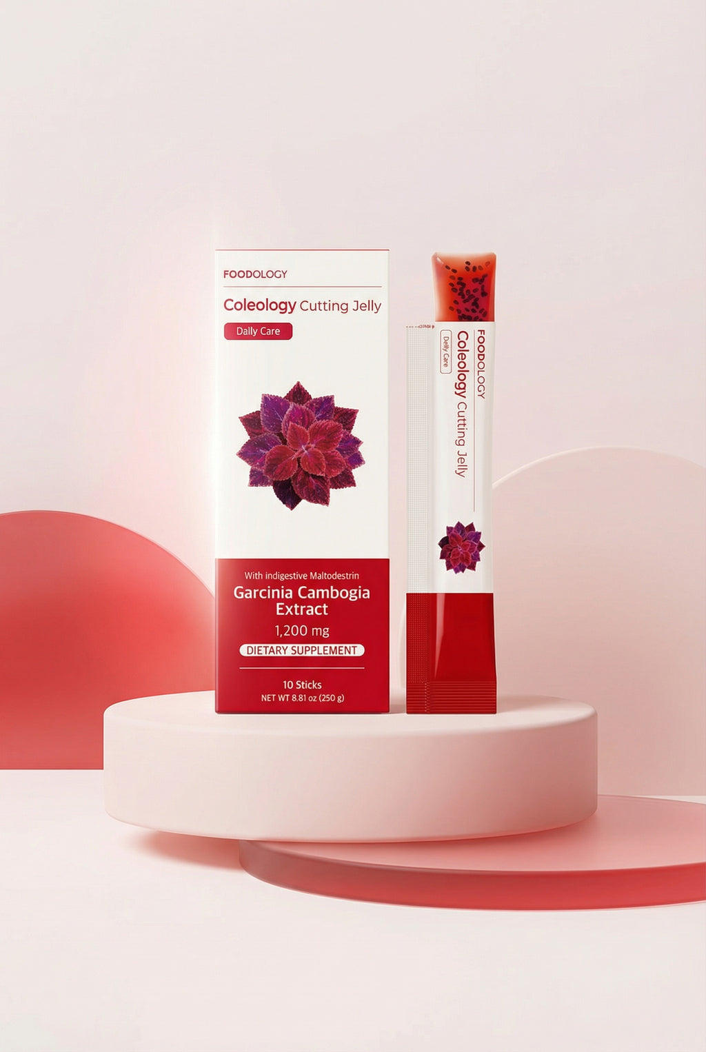 FOODOLOGY Coleology Cutting Jelly